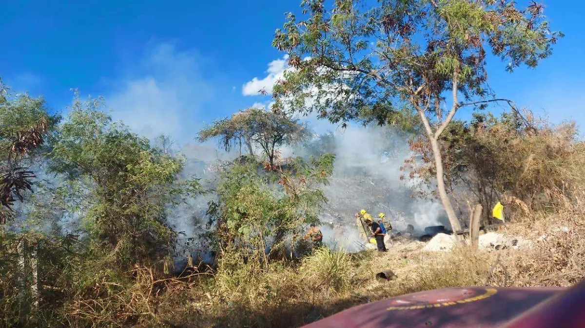 incendio, bosque